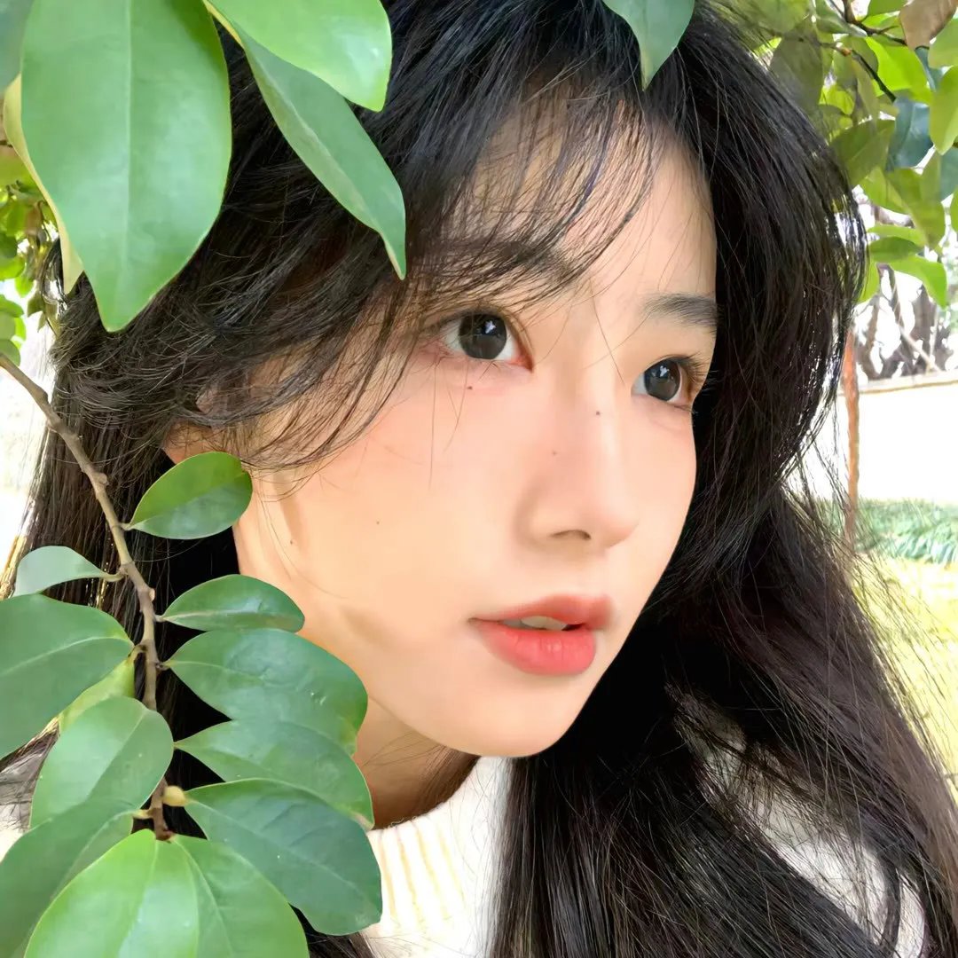 空灵之境第二季
